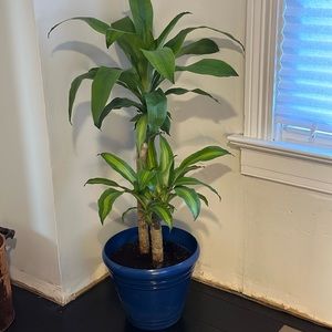 Meet your Posher, Paul